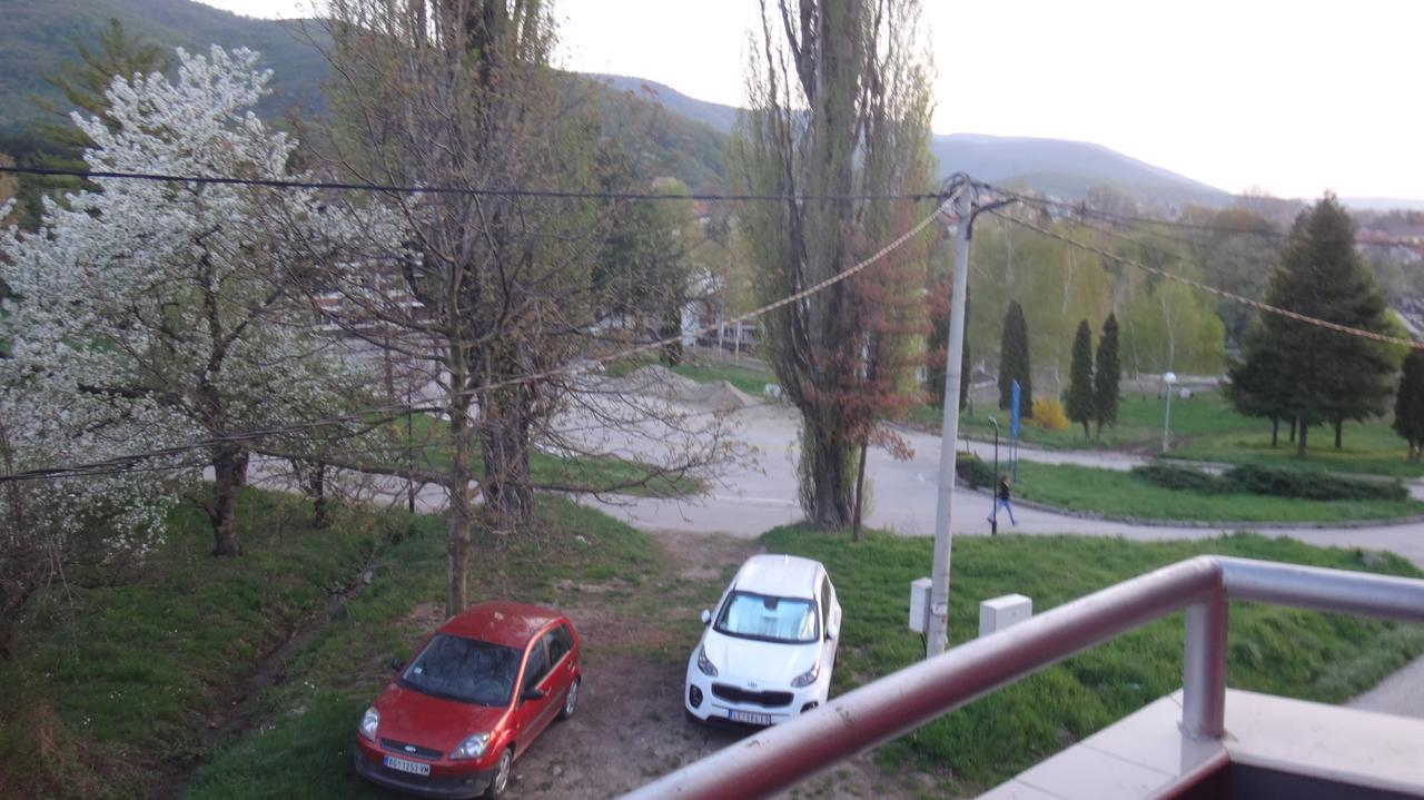 Hotel Konak Vila Mirkovic Soko Banja Exteriér fotografie