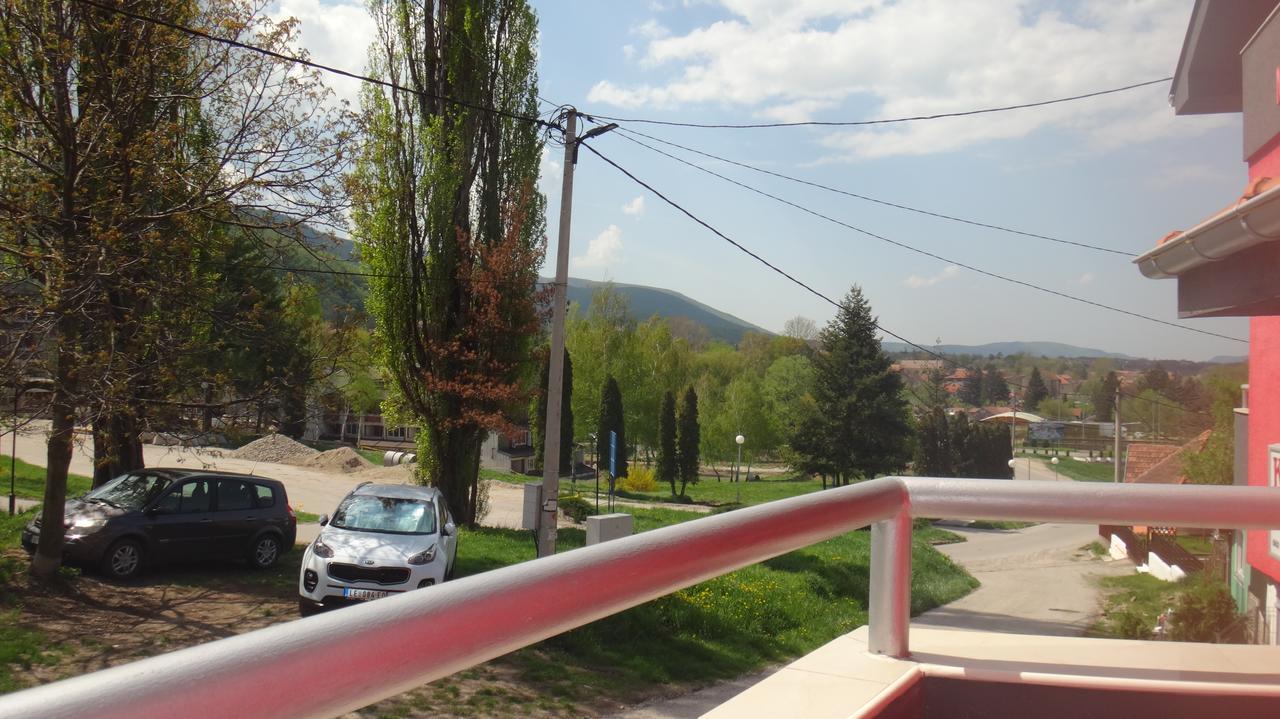 Hotel Konak Vila Mirkovic Soko Banja Exteriér fotografie